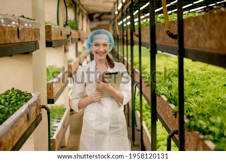 Young woman Biotechnologist using tablet to check quality and quantity of vegetable in hydroponic farm. Using technology to reduce working time and more comfortable. Green salads in background