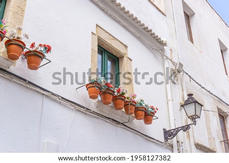 Image of a white building with a window with pots with flowers of different colors