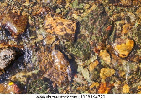 Natural background, the stones at the bottom of the creek. Clean stream.
