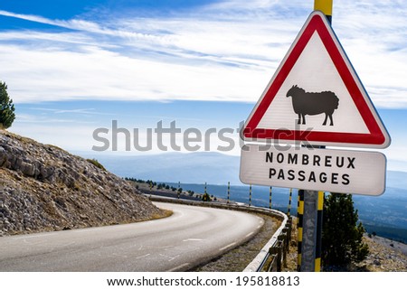 Sheep Road Sign, France, Mountain, ventoux