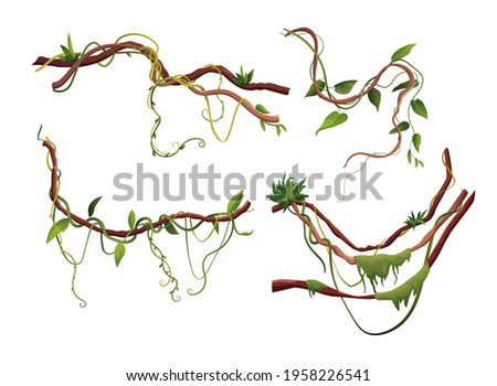 Liana or vine winding branches cartoon vector illustration. Jungle tropical climbing plants. Royalty-Free Stock Photo #1958226541
