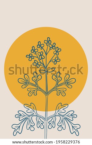 Abstract  posters with bitter herbs Herb-of-grace (Ruta graveolens), or common rue. Abstract geometric elements and flowers, leaves and berries. Great design for social media, postcards, print.