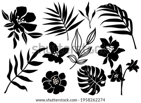 Vector tropic leaves and flower silhouette. Jungle plant, monstera leaf, palm frond, exotic floral. Abstract set with tropical elements isolated on white.