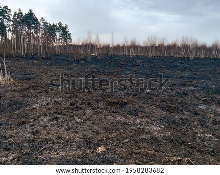 Field after fire - scorched grass and trees Royalty-Free Stock Photo #1958283682