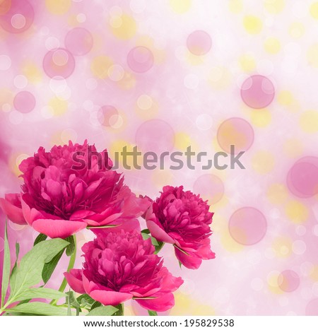 Beautiful bouquet of pink peonies on abstract multicoloured background with blur bokeh