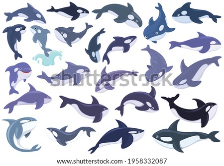 Killer whale icons set. Cartoon set of killer whale vector icons for web design