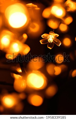 flower-shaped light, background for all.  blurred environment flower in focus