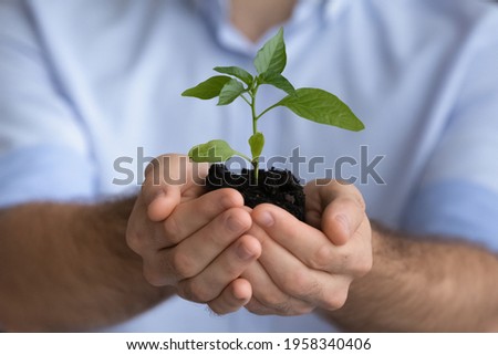 Crop close up of young Caucasian businessman hold soil and green plant for investment or project launch. Male CEO with seedling or sprout in hands for business success. Growth, development concept.