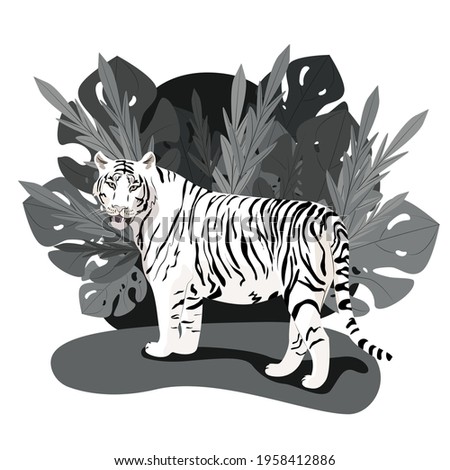 White tiger standing among lush palm leaves, wild carnivores, black and white, vector illustration in flat style.