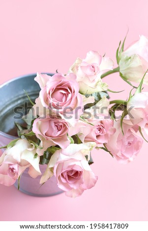cute delicate bouquet of pink roses on a light pink background in a metal vase. vertical frame.