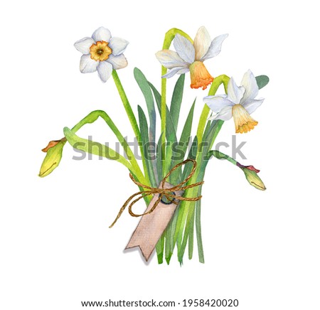Watercolor romantic illustration bouquet of white daffodils with label, botanical illustration
