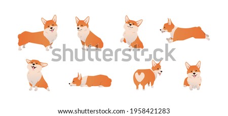 Cartoon Pembroke Welsh Corgi illustration set in different poses. Cute sitting, running and lying vector dog isolated on white background Royalty-Free Stock Photo #1958421283