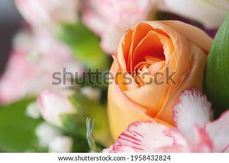 Rose orange in a bouquet close-up. Floral background, full frame, shallow depth of field. The Concept Of Mother's Day, March 8, Valentine's Day.Floral design, gift bouquet of lilies, roses, carnations
