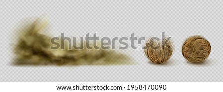 Tumbleweeds and sandstorm cloud, desert plants and sand dust. Dry bush or twigs in shape of balls, arid climate design elements isolated on transparent background, Realistic 3d vector clip art, set