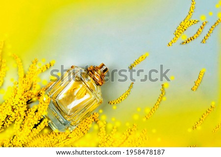 Bottle of men's or women perfume  on a gray background with mimosa flowers and blurred yellow spots, selective focus. Gift for men. Presentation perfume spray.
 