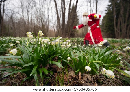 A tale of 12 months - how Santa Claus helped to look for spring flowers in the forest. And just a joke - a metaphor about the end of winter in conceptual art photo