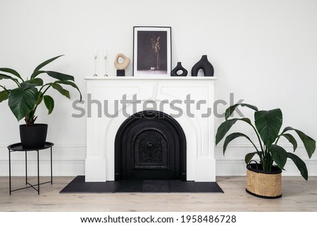 Houseplants and home decor in room with modern fireplace. Green plants in wicker basket standing in elegant interior at cozy house. Picture frame, vase and candle in candlestick on shelf