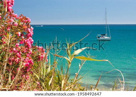 Shine summer sea beach scenery with transparent calm water framed by the pink flowers and green branches of the coast, in the distance a white boat anchored. Tranquility  paradise concept. Vacation.