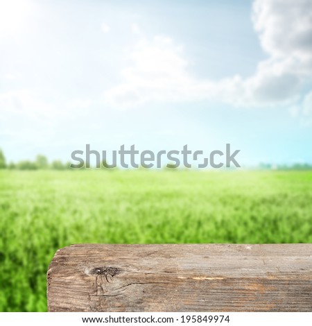 picnic desk and grass 