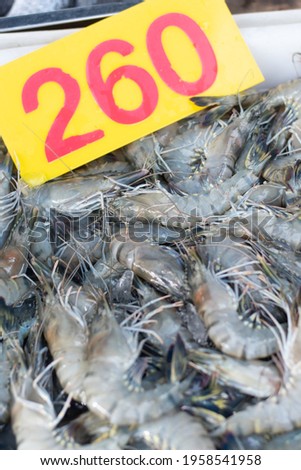The picture shows a black tiger shrimp caught by fishermen in the gulf of Thailand.