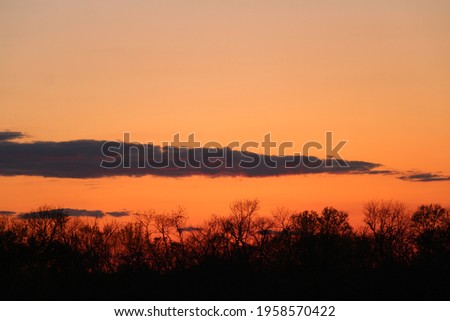 A sunset landscape with tree silhouettes and orange sky