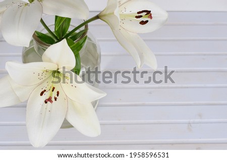 Artistic table still life composition with lily flowers in vase. White wooden wall background. Empty copyspace, rustic design.
