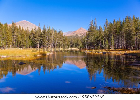  Sunrise. The Tioga Road and Pass in Yosemite Park. Forests and mountains are reflected in the smooth water of the lake. USA. North America
