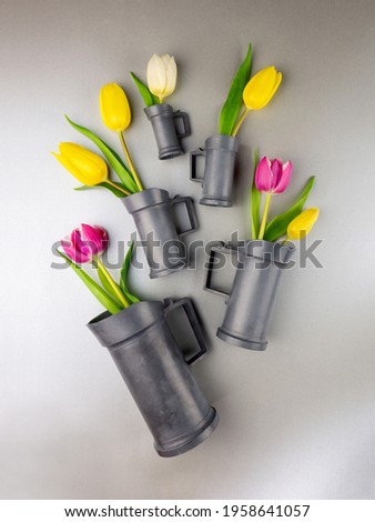Fresh yellow,pink,white tulips in set of 5 cast-iron steel gray jugs of various sizes levitating,gray backdrop,shape of fireworks.Vertical banner in cottagecore concept style,trendy colors.Copy space