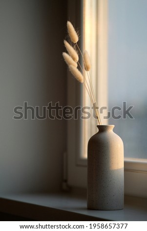 Vase of fluffy dried flowers on window sill at sunset. Scandinavian style home decor.