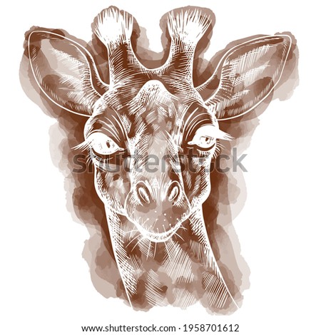 Hand drawn vector portrait of giraffe isolated on white background. Stock illustration of wild Africa animal in sketch style.