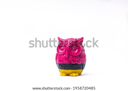 Tricolor owl. On white background. 