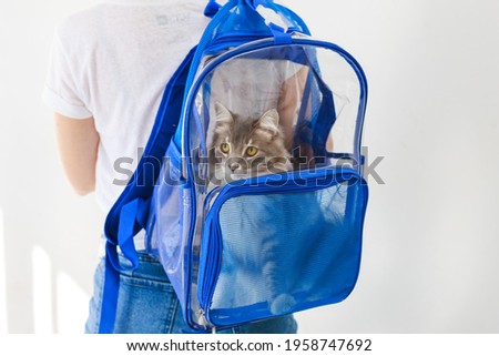 premium bed and bag to transport cats or pets, on white background, with a person on his back using the backpack

