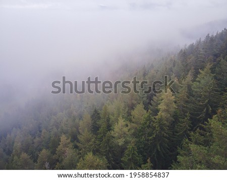 Aerial top view of misty forest trees in forest in Slovakia. Drone photography. Rainforest ecosystem and healthy environment concept. Foggy morning