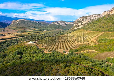 Aerial view from Grapes and Vineyards in the beautiful countryside of Patrimonio, Tourism and vacations concept. Corsica, France Royalty-Free Stock Photo #1958860948
