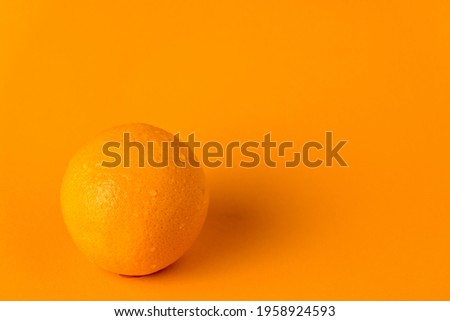 an orange lies on an orange background. Single color product presentation