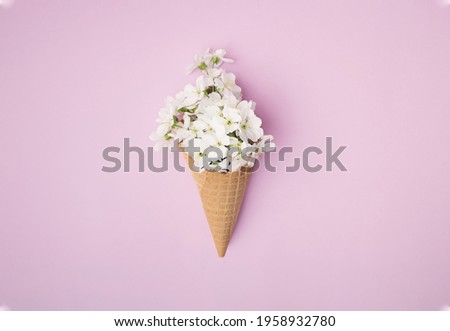 White cherry blossom in a brown cone. Pink background.