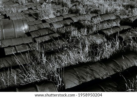 background of iron barrels lying in rows on the grass