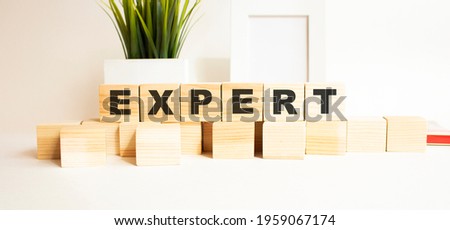 The word is EXPERT. Wooden cubes with letters on a white table. White background with photo frame, house plant.