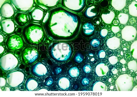 A closeup shot of soap bubbles under blue and green lights