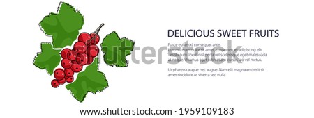 Sweet berry Redcurrant banner , fruit isolated on white background, vector illustration Royalty-Free Stock Photo #1959109183