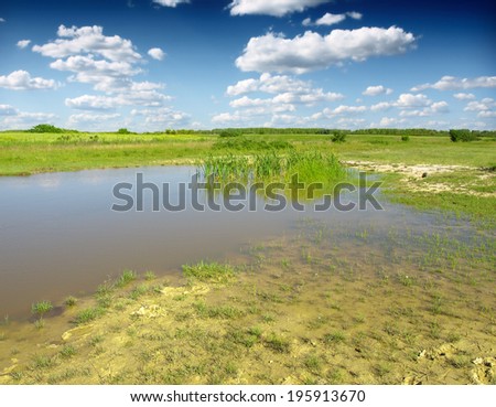 Wild Bog Swamp