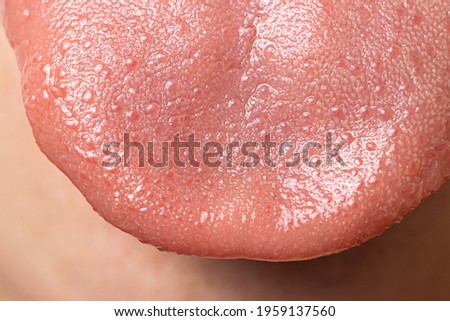 Macro close up surface of human tongue - sensory receptors of the papillae, tip of the tongue Royalty-Free Stock Photo #1959137560