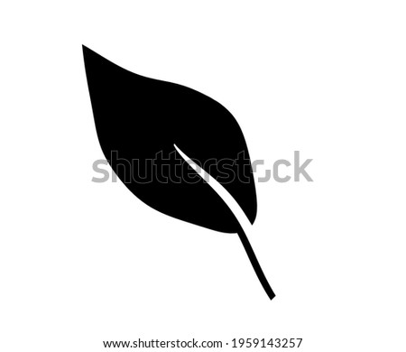 Abstract leaf on the white background