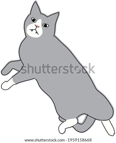 Cute and simple full body illustration of cat