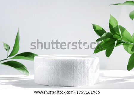 Cylindrical podium on a white background with hard shadows and leaves. Minimal empty scene of cosmetic products presentation. Geometric podium.