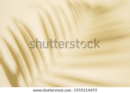 Summer minimal background with Shadow of palm tree leaf on light yellow paper. Pastel colored aesthetic photography with palm plant.