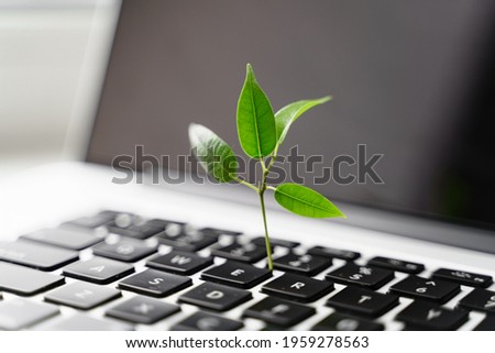 Laptop keyboard with plant growing on it. Green IT computing concept. Carbon efficient technology. Digital sustainability  Royalty-Free Stock Photo #1959278563