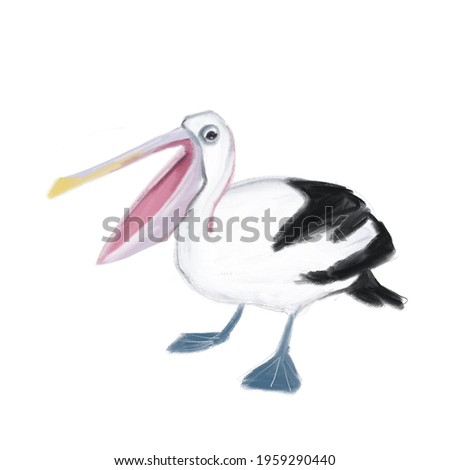 funny white pelican screams and looks displeased