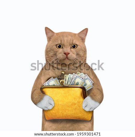 A reddish cat holds an orange leather wallet with dollars. White background. Isolated.