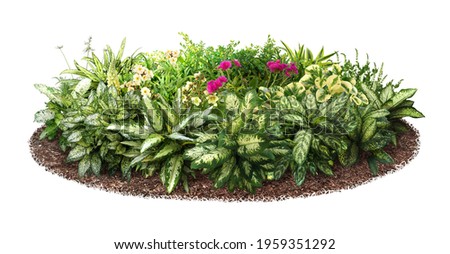 Cut out flowerbed. Plants and flowers isolated on white background. Flower bed for garden design or landscaping. High quality image for professional composition.
 Royalty-Free Stock Photo #1959351292
